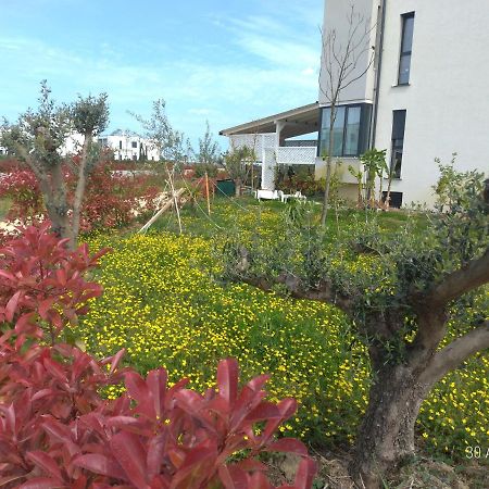 Welcome Beach Apartment Hamallaj Zewnętrze zdjęcie